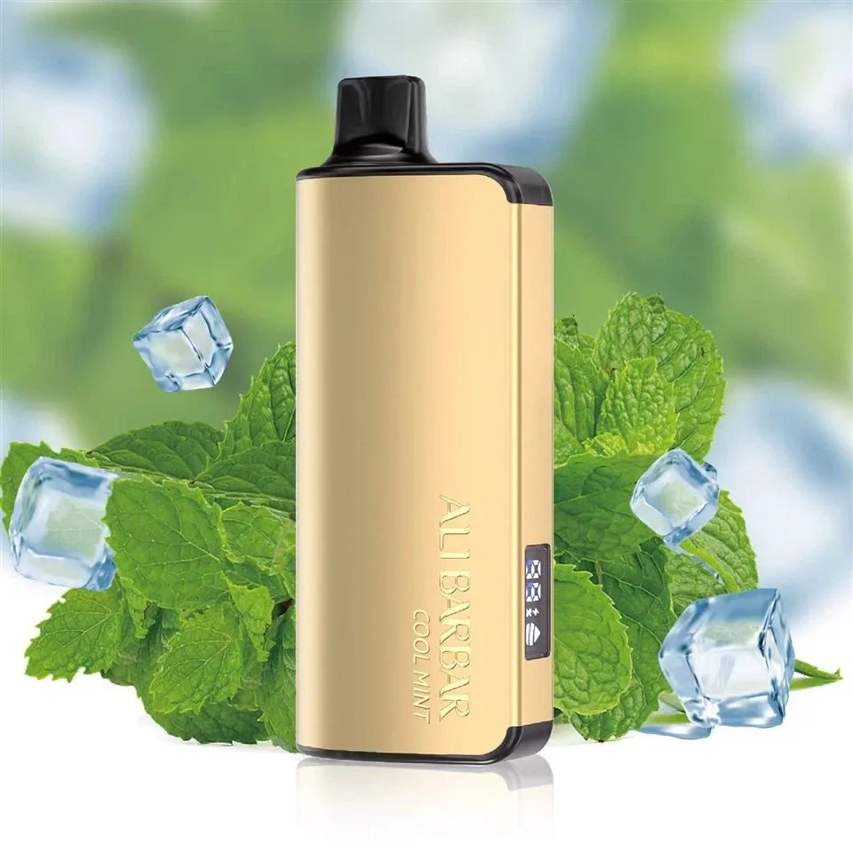 ALIBARBAR INGOT 9000 Puffs Disposable Vape high quality