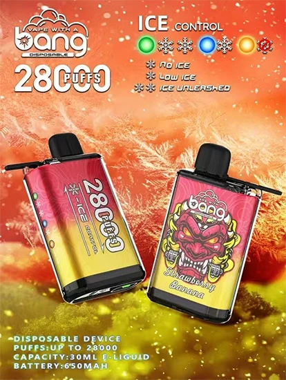 Bang 28000 Puffs Ice Control 28K Disposable