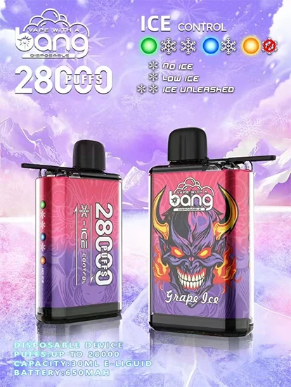 Bang 28000 Puffs Ice Control 28K Disposable